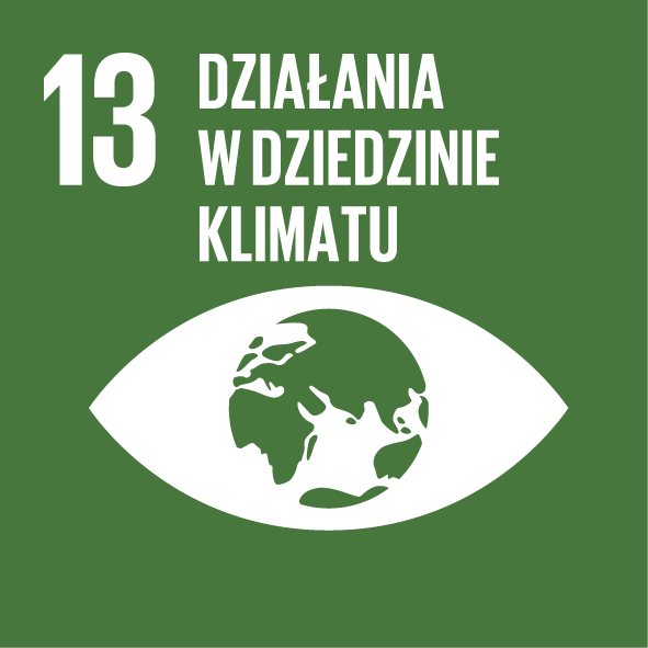 SDG 12