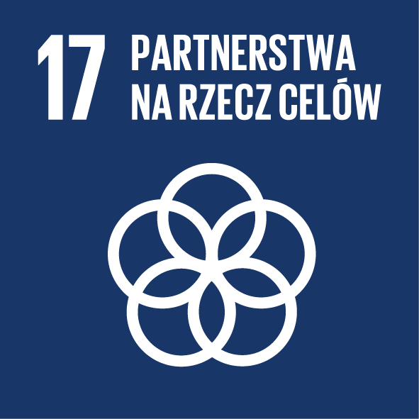 SDG 17