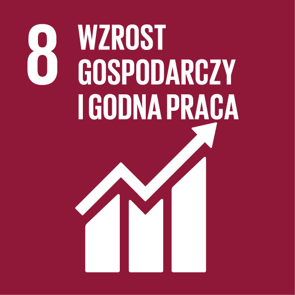 SDG 8