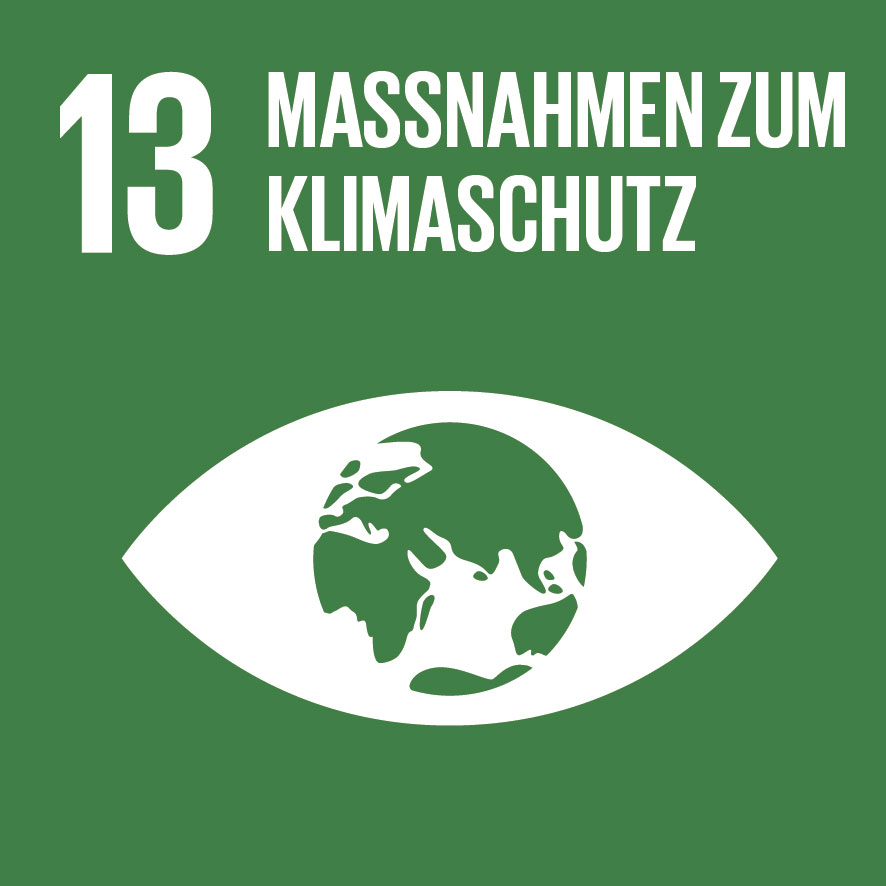 SDG 12